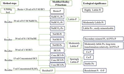 Long-term cattle manure addition enhances soil-available phosphorus fractions in subtropical open-field rotated vegetable systems